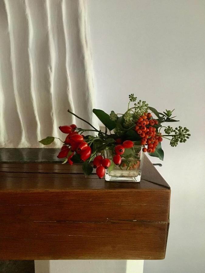 Grand Boutique Hotel 普里什蒂纳 外观 照片