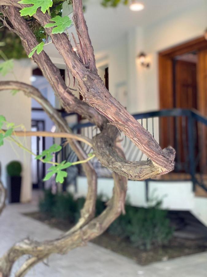 Grand Boutique Hotel 普里什蒂纳 外观 照片
